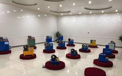 Porcellana Shanghai Fanying Machinery Technology Co., Ltd. Profilo aziendale
